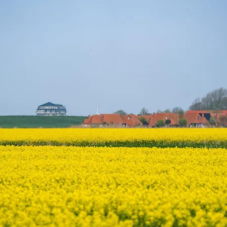 Ferienreihenhaus Lale Andersen 4c דירה וורמן